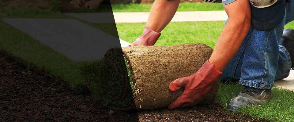 Nixon Landscapers